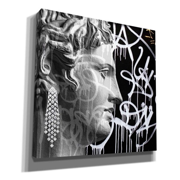 Graffiti Bust 2  by Karen Smith, Canvas Wall Art Sale