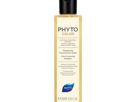 Phytocolor Shampoo Protettivo Colore Hot on Sale