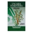 Uncaria Tomentosa Erbe 80 Capsule Online now