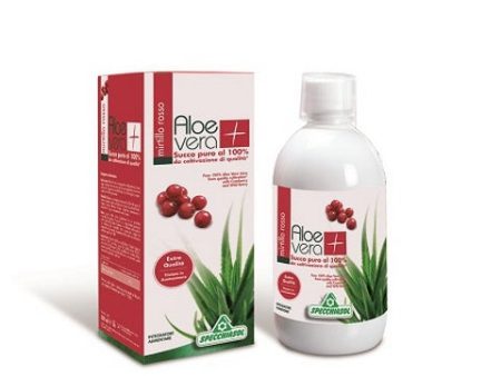 Succo Aloevera+ Aloe mirt R1lt Cheap