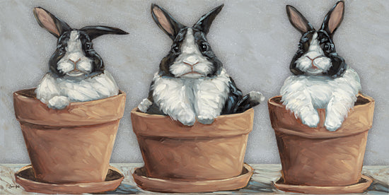 SGD275 - Bunny Pots - 18x9 For Cheap