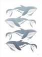 FEN1053 - Sea Whales - 12x16 For Discount