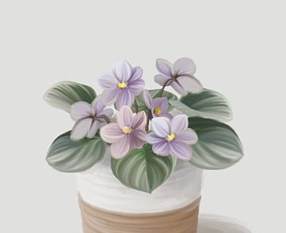 FEN1046 - African Violets - 12x16 Sale