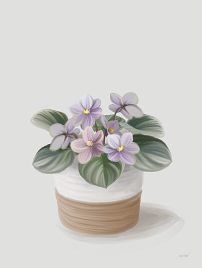 FEN1046 - African Violets - 12x16 Sale