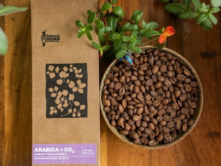 Arabica + CO₂ on Sale