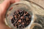 Cascara Supply