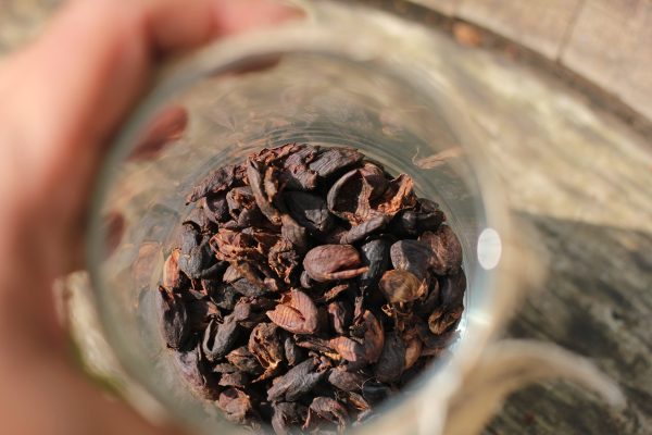 Cascara Supply